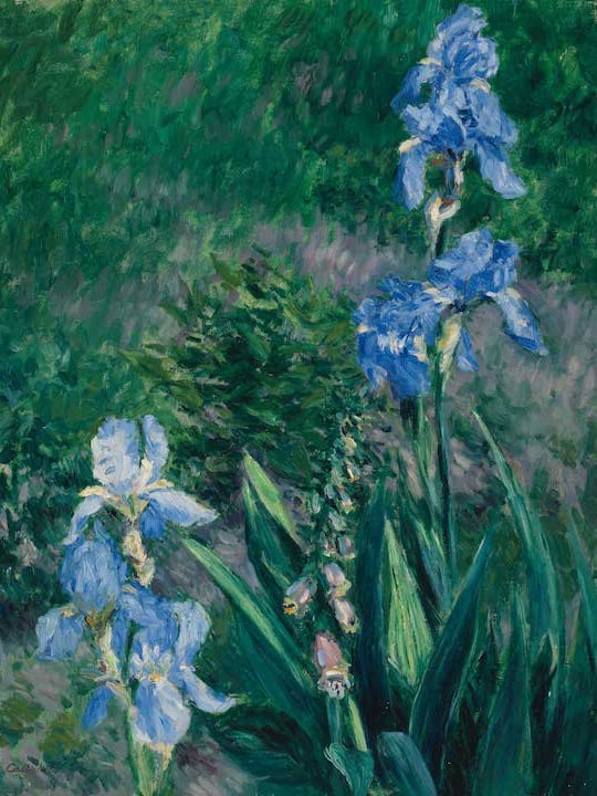 Iris bleus, jardin du Petit Gennevilliers de Gustave Caillebotte